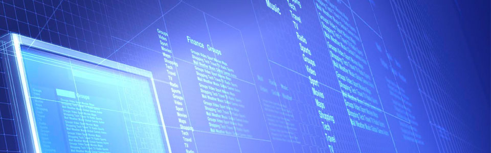 Enterprise software development