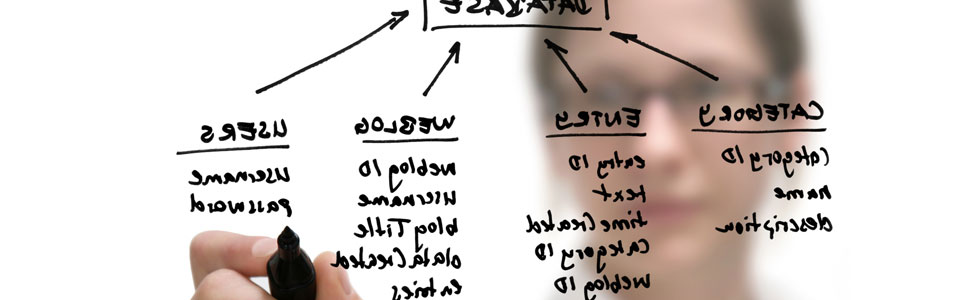 Desarrollo de productos de software